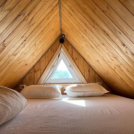 Bereke Kolsay Resort Saty エクステリア 写真